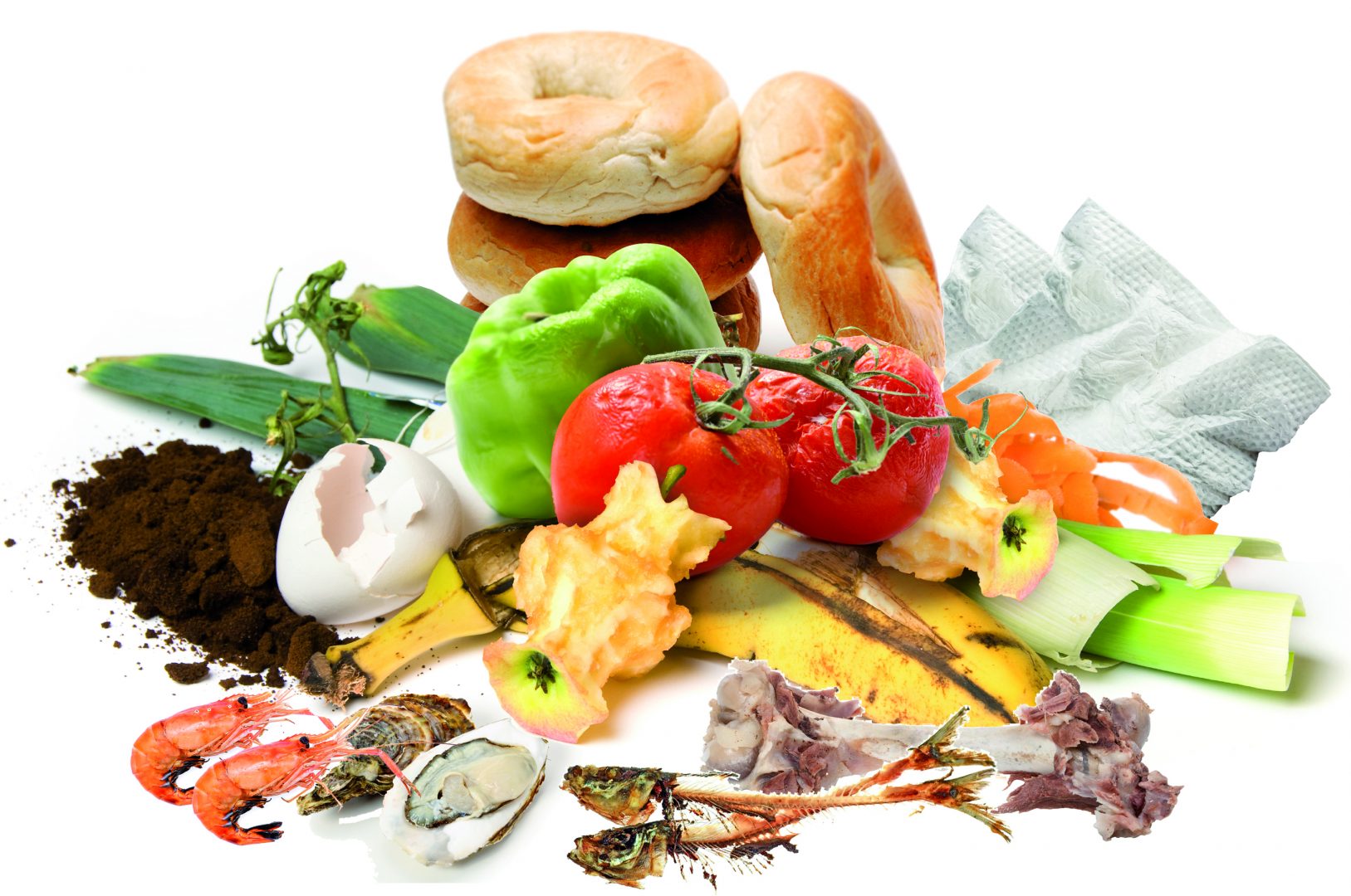 Biodechets restauration